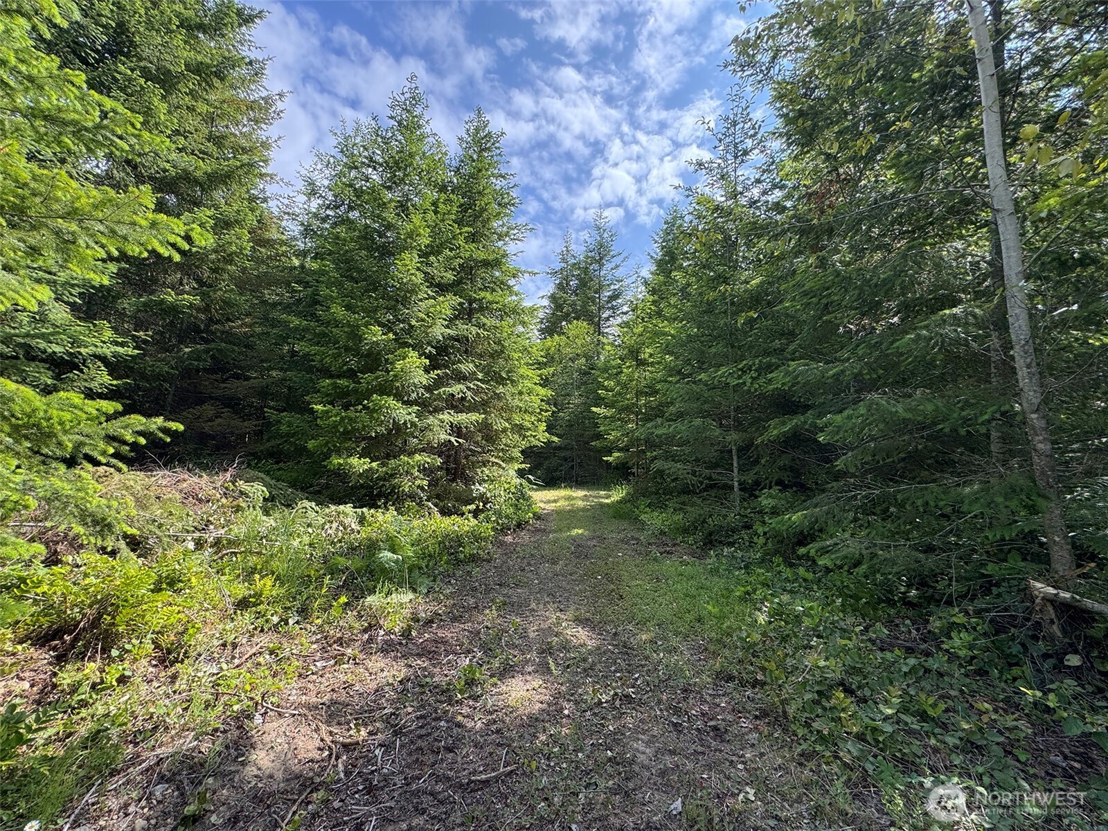 9999 Blue Mountain Road , Port Angeles, WA 98362