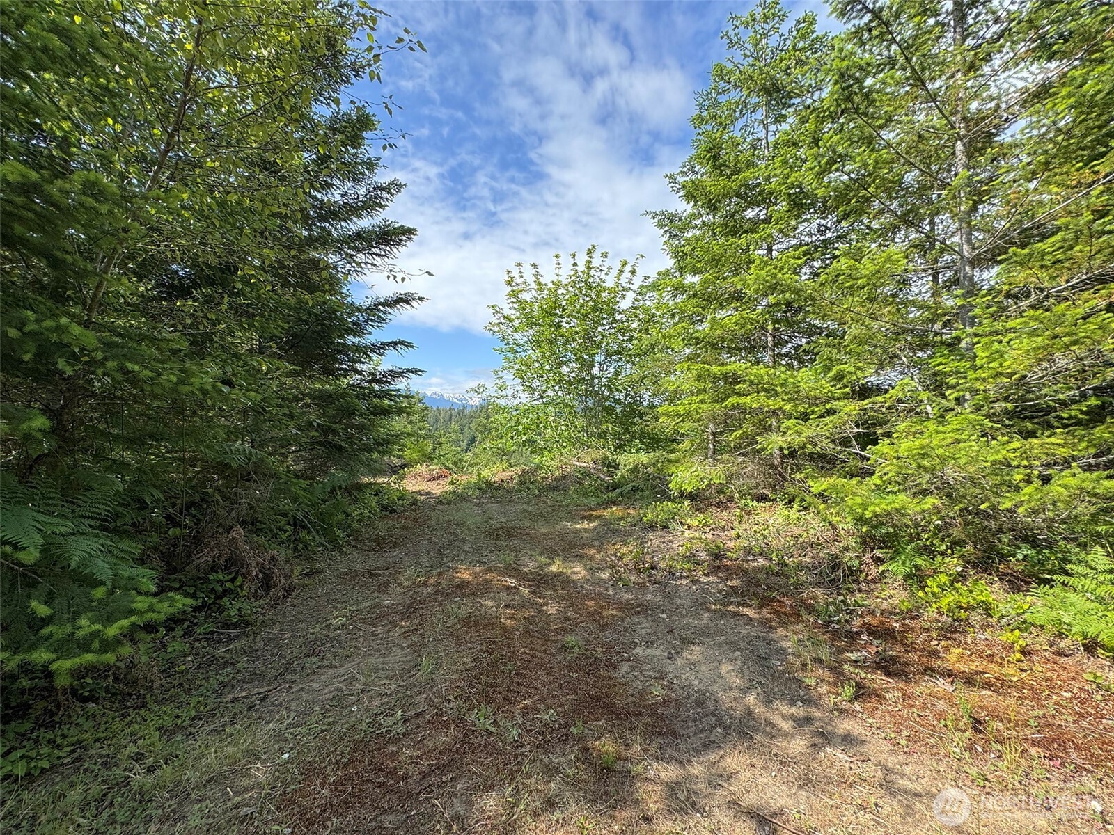 9999 Blue Mountain Road , Port Angeles, WA 98362