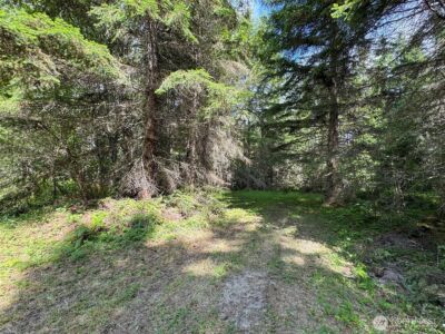 9999 Blue Mountain Road , Port Angeles, WA 98362 - Photo 21