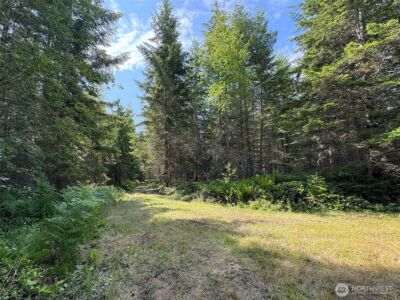9999 Blue Mountain Road , Port Angeles, WA 98362 - Photo 22