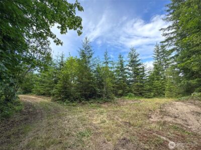 9999 Blue Mountain Road , Port Angeles, WA 98362 - Photo 23