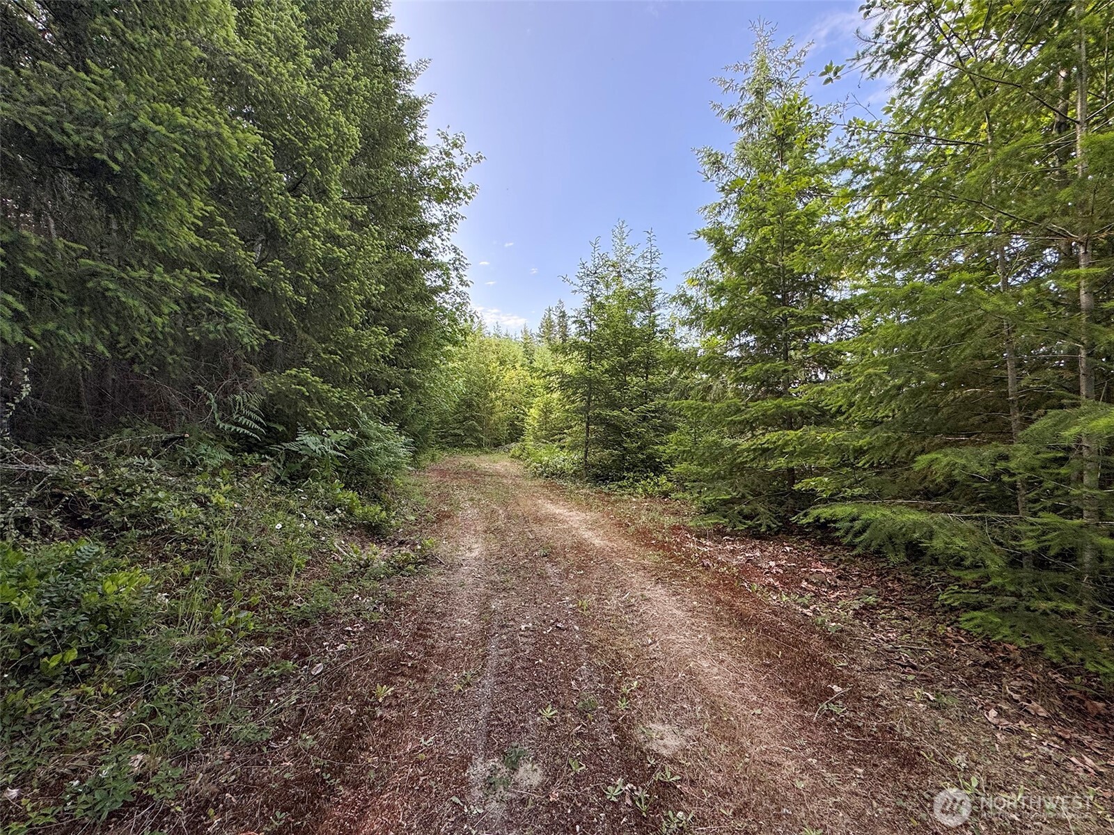 9999 Blue Mountain Road , Port Angeles, WA 98362