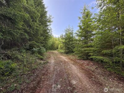 9999 Blue Mountain Road , Port Angeles, WA 98362 - Photo 24