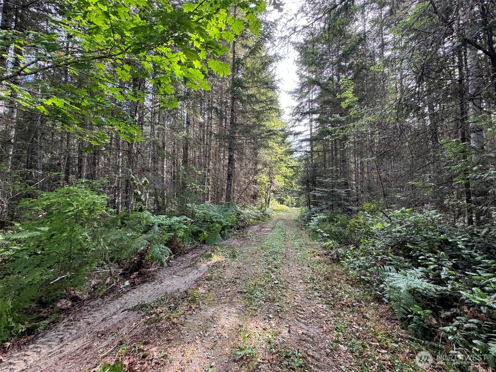 9999 Blue Mountain Road , Port Angeles, WA 98362