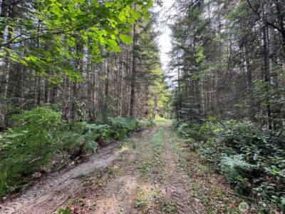 9999 Blue Mountain Road , Port Angeles, WA 98362 - Photo 28