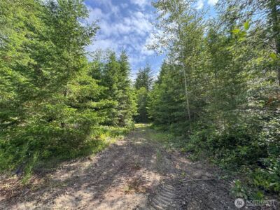 9999 Blue Mountain Road , Port Angeles, WA 98362 - Photo 29