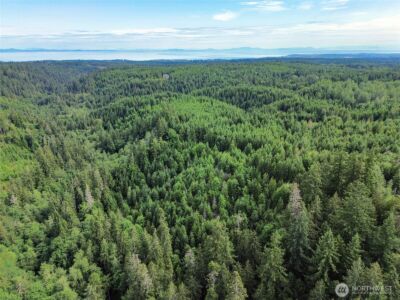 9999 Blue Mountain Road , Port Angeles, WA 98362 - Photo 30