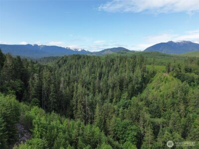 9999 Blue Mountain Road , Port Angeles, WA 98362 - Photo 33