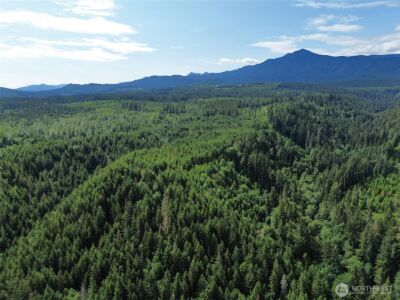 9999 Blue Mountain Road , Port Angeles, WA 98362 - Photo 34