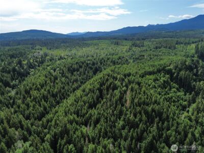 9999 Blue Mountain Road , Port Angeles, WA 98362 - Photo 35