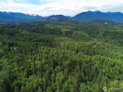 9999 Blue Mountain Road , Port Angeles, WA 98362 - Photo 37
