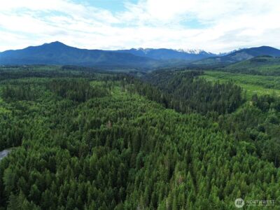 9999 Blue Mountain Road , Port Angeles, WA 98362 - Photo 39