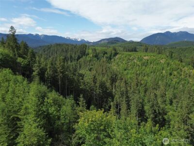 9999 Blue Mountain Road , Port Angeles, WA 98362 - Photo 4