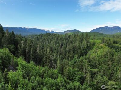 9999 Blue Mountain Road , Port Angeles, WA 98362 - Photo 5