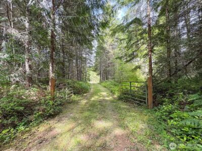 9999 Blue Mountain Road , Port Angeles, WA 98362 - Photo 9