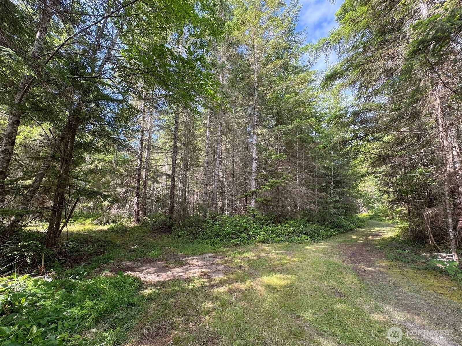 9999 Blue Mountain Road , Port Angeles, WA 98362