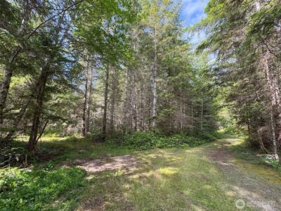 9999 Blue Mountain Road , Port Angeles, WA 98362 - Photo 10