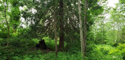 15800 62nd Avenue NW, Gig Harbor, WA 98332