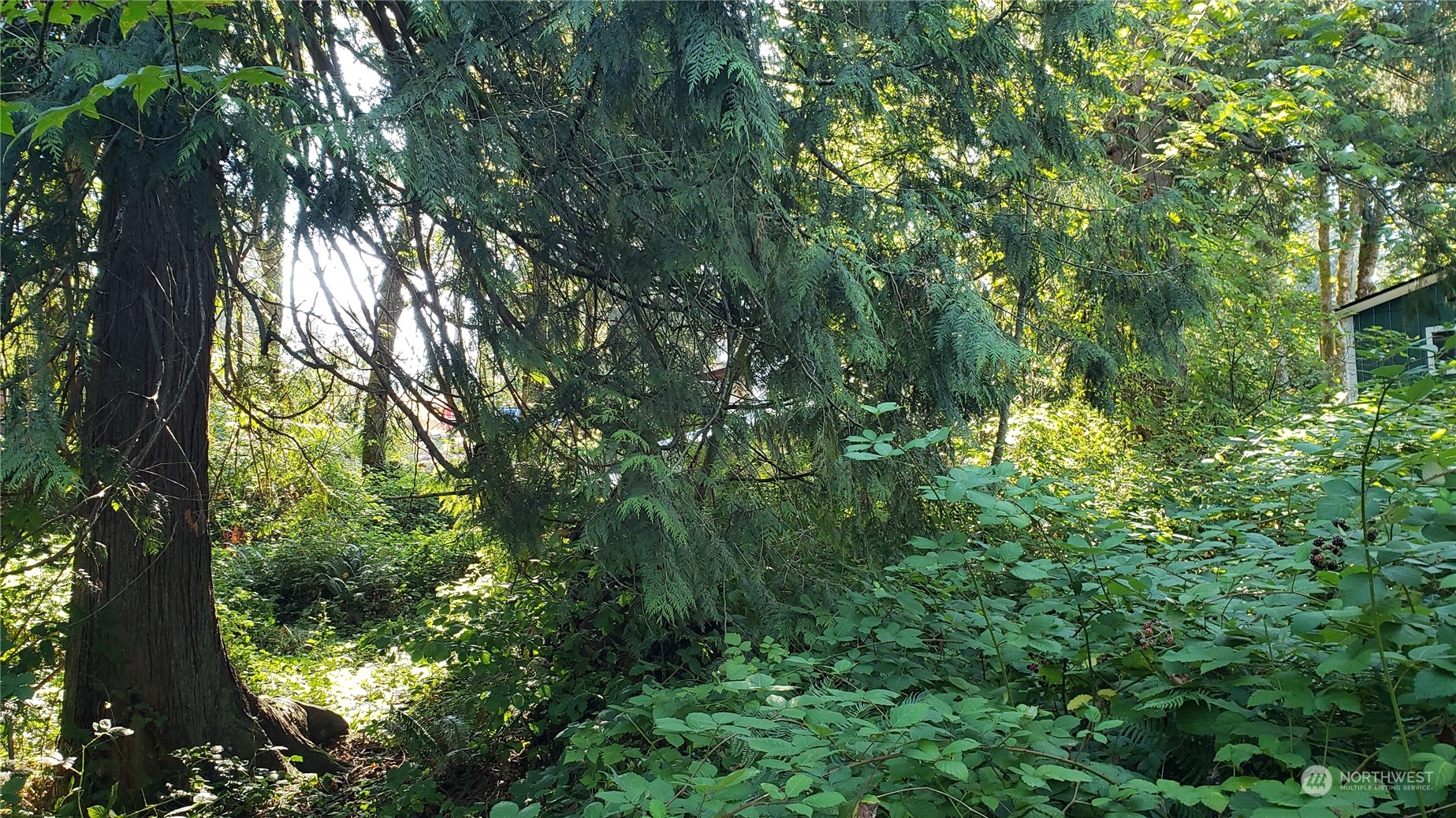 15800 62nd Avenue NW, Gig Harbor, WA 98332
