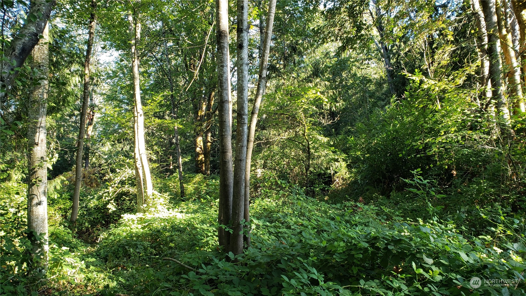 15800 62nd Avenue NW, Gig Harbor, WA 98332