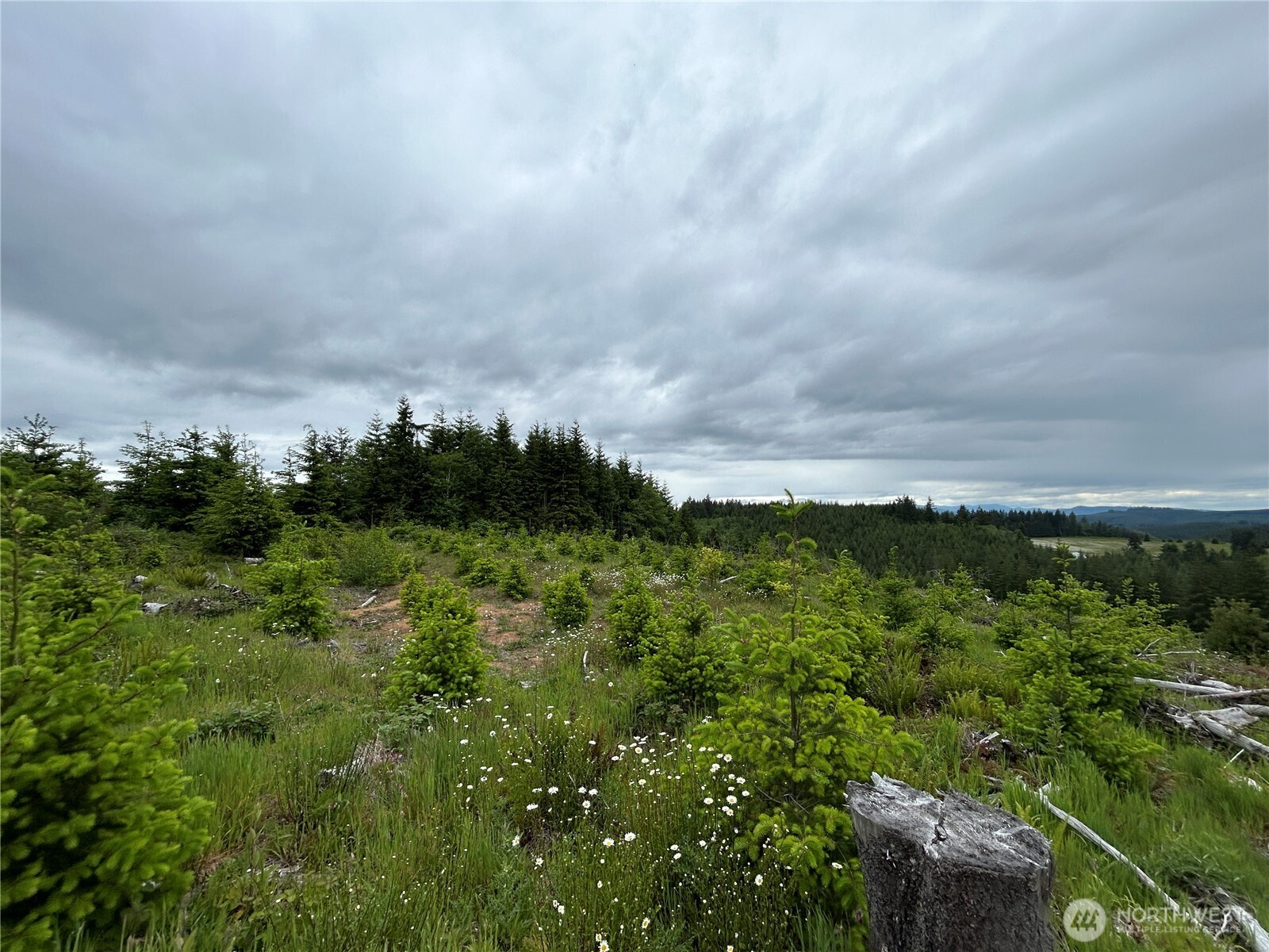 0 Lot 1 Mt Brynion Road , Kelso, WA 98632