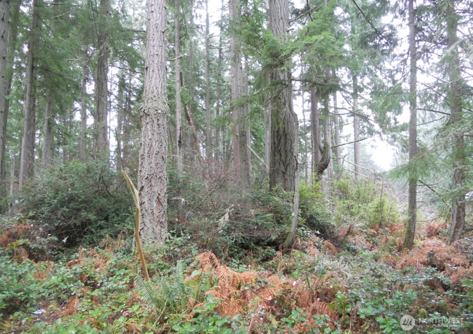 10315 107th Avenue Ct , Anderson Island, WA 98303