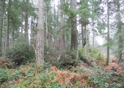 10315 107th Avenue Ct , Anderson Island, WA 98303 - Photo 1