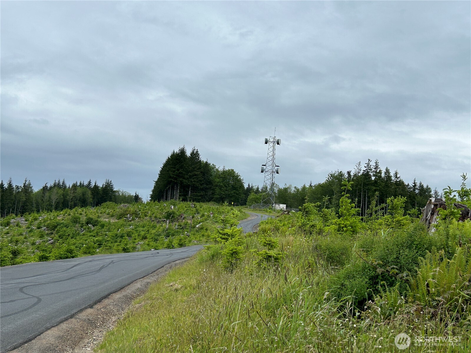 0 Lot 2 Mt Brynion Road , Kelso, WA 98626