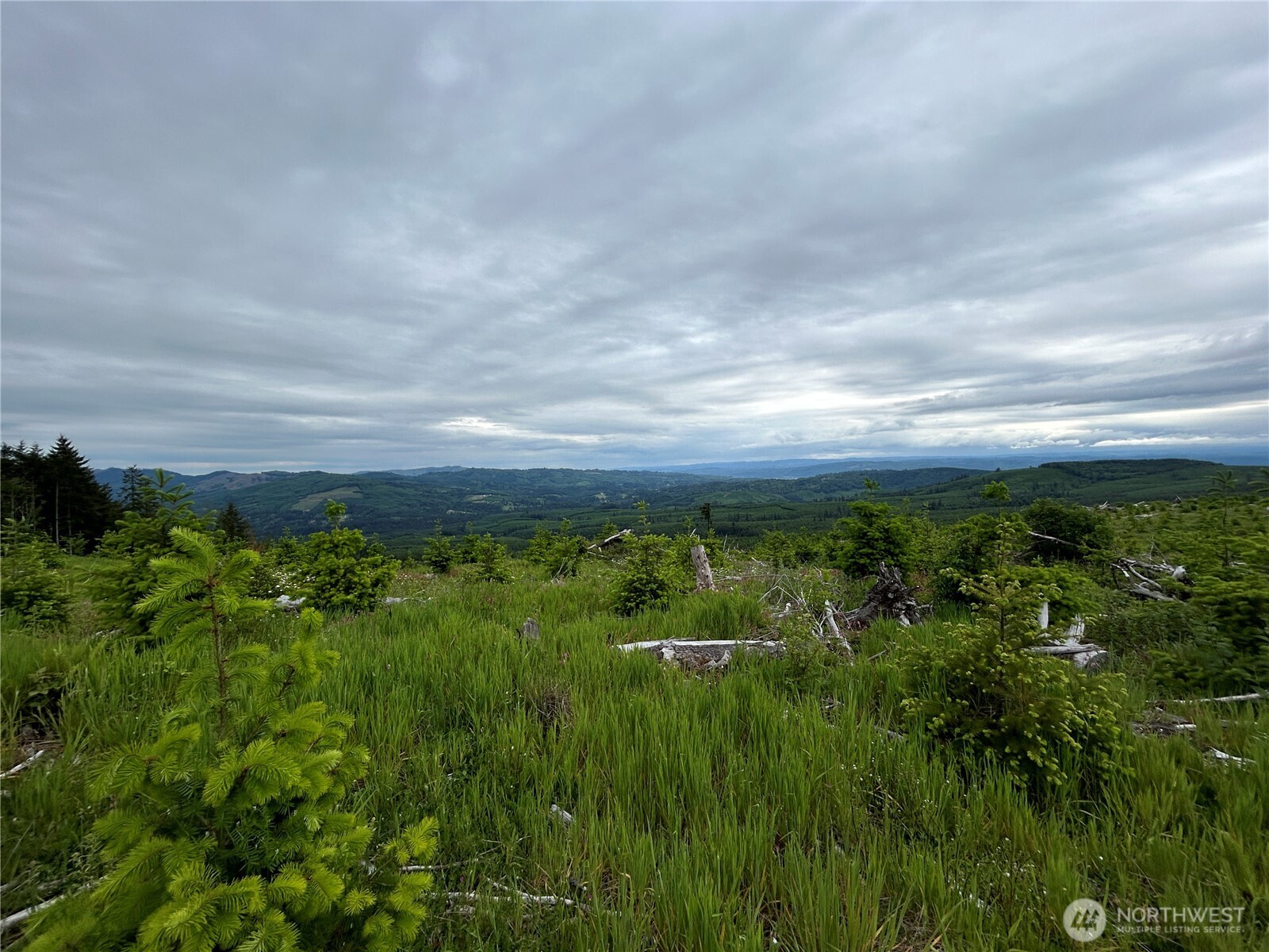 0 Lot 2 Mt Brynion Road , Kelso, WA 98626