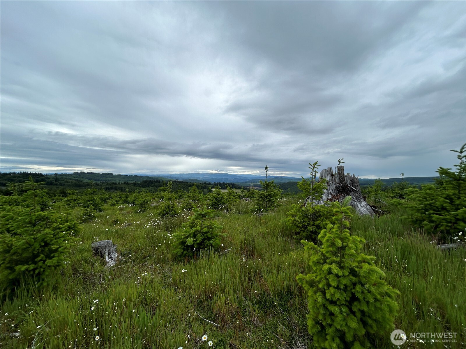 0 Lot 2 Mt Brynion Road , Kelso, WA 98626