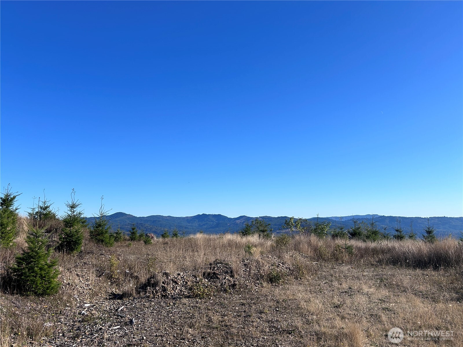 0 Lot 2 Mt Brynion Road , Kelso, WA 98626