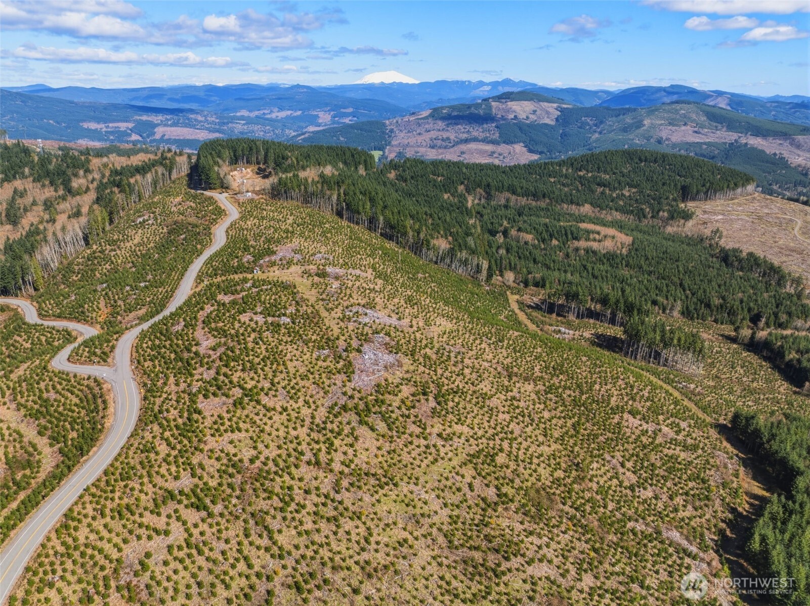 0 Lot 4 Hamilton Heights Road , Kelso, WA 98626