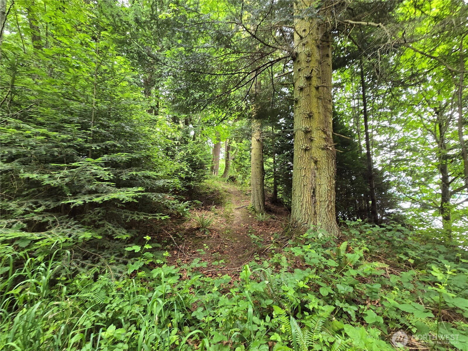 10307 NE Paradise Cove Lane (5 Lots) , Kingston, WA 98346