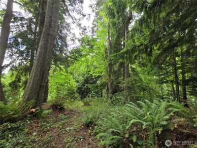 10307 NE Paradise Cove Lane (5 Lots) , Kingston, WA 98346 - Photo 12