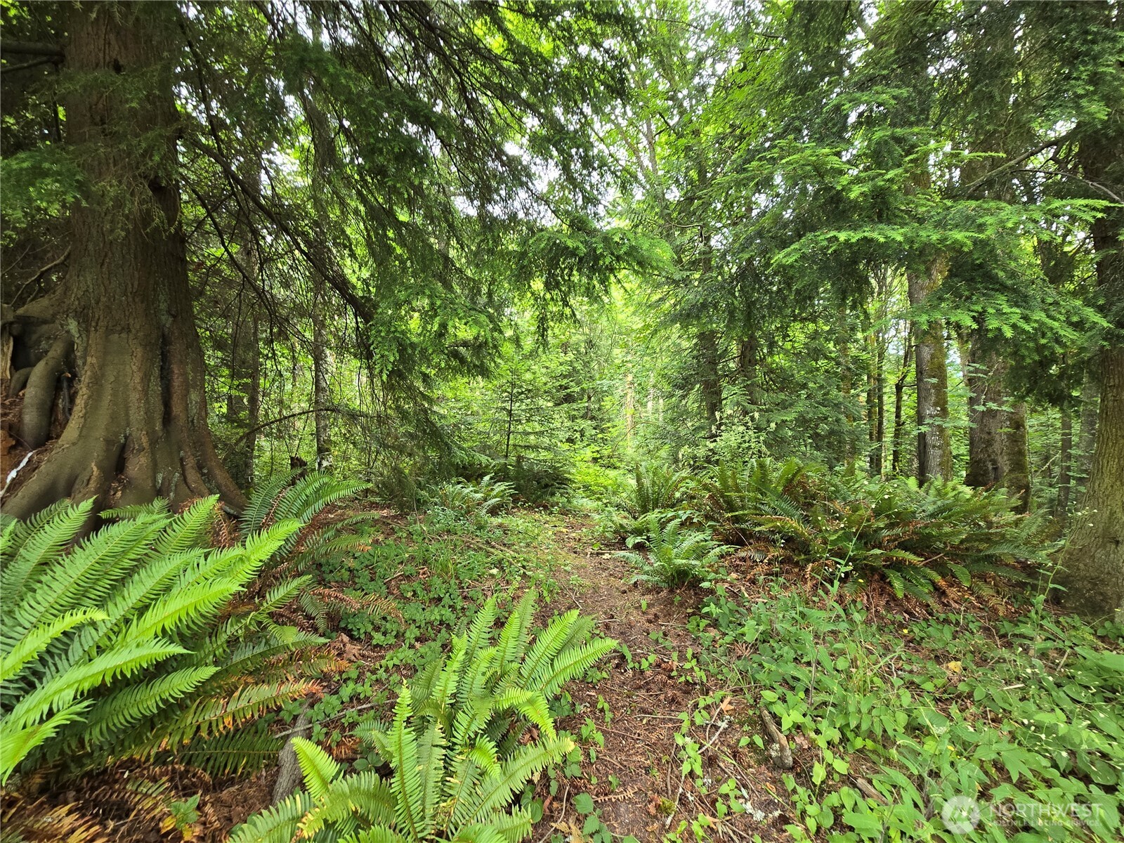 10307 NE Paradise Cove Lane (5 Lots) , Kingston, WA 98346