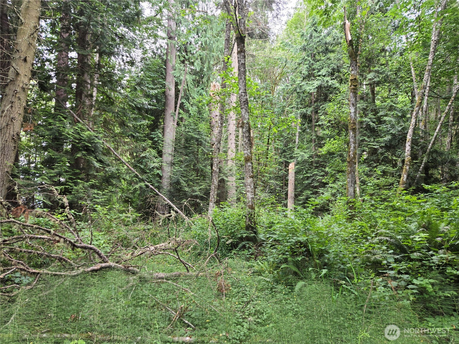 10307 NE Paradise Cove Lane (5 Lots) , Kingston, WA 98346