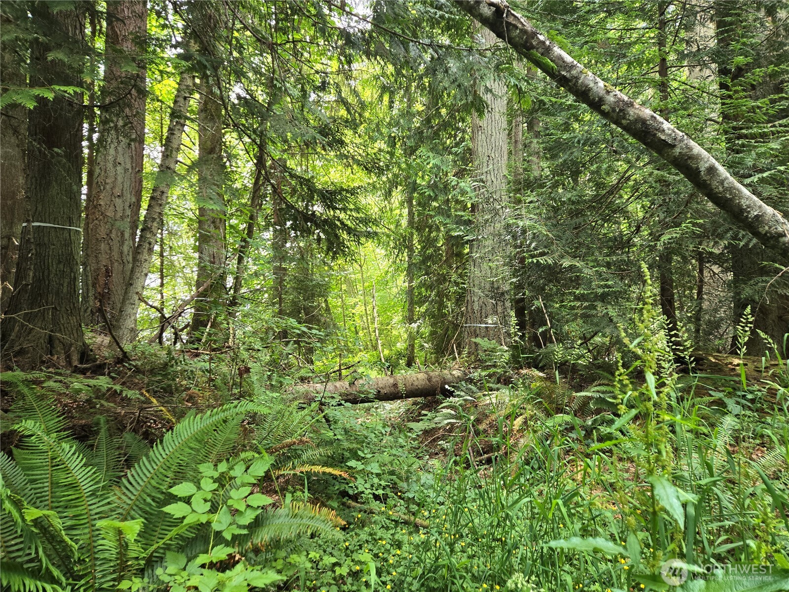 10307 NE Paradise Cove Lane (5 Lots) , Kingston, WA 98346