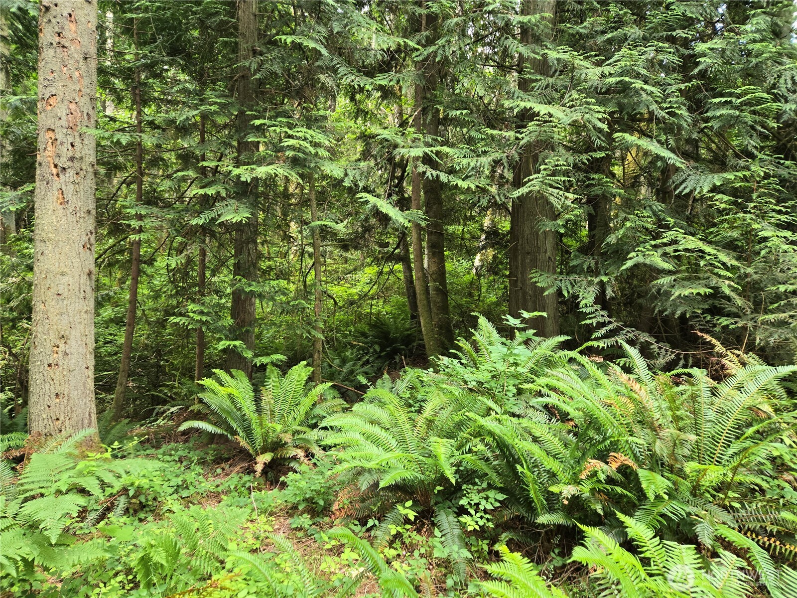 10307 NE Paradise Cove Lane (5 Lots) , Kingston, WA 98346