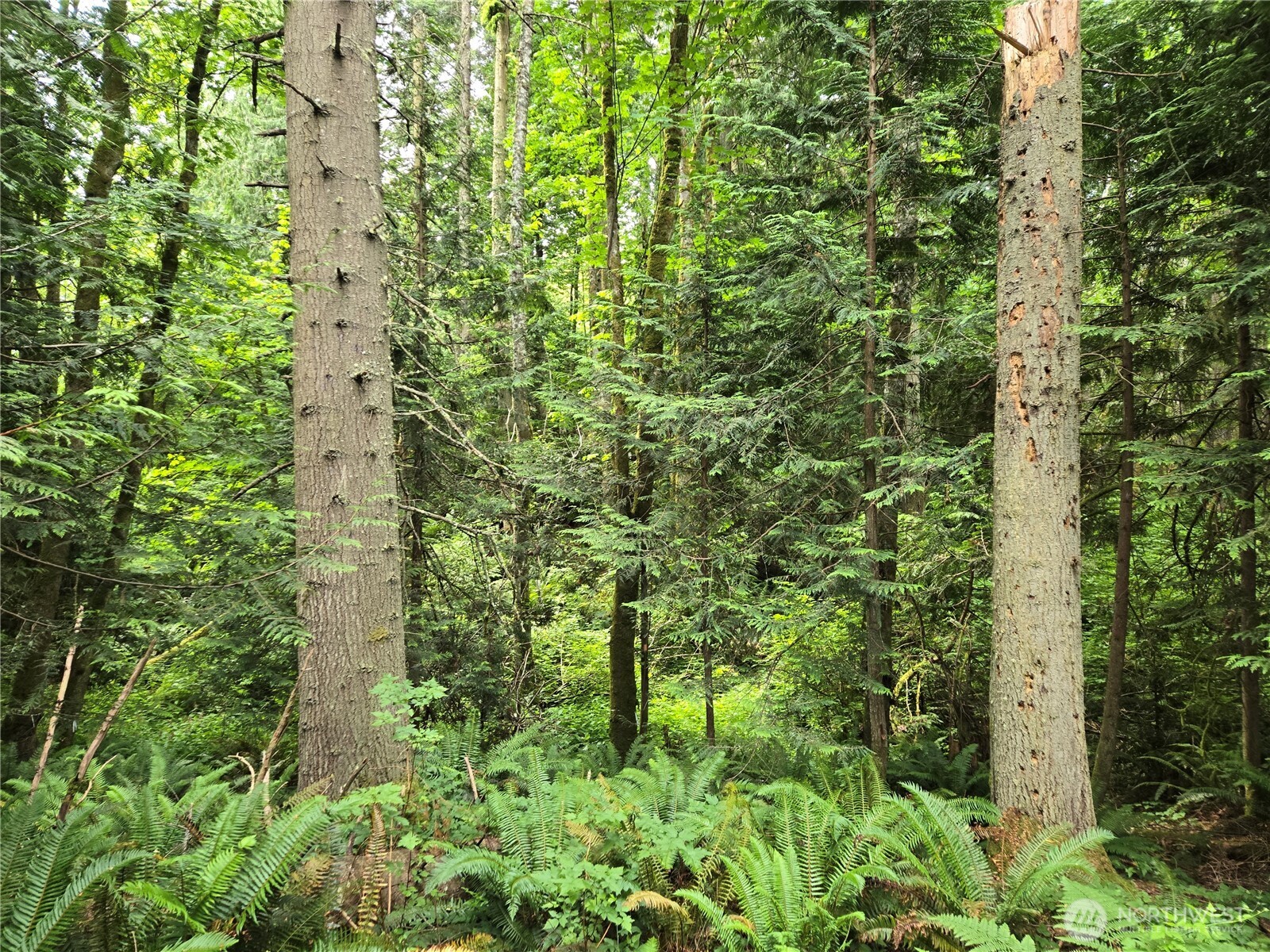 10307 NE Paradise Cove Lane (5 Lots) , Kingston, WA 98346