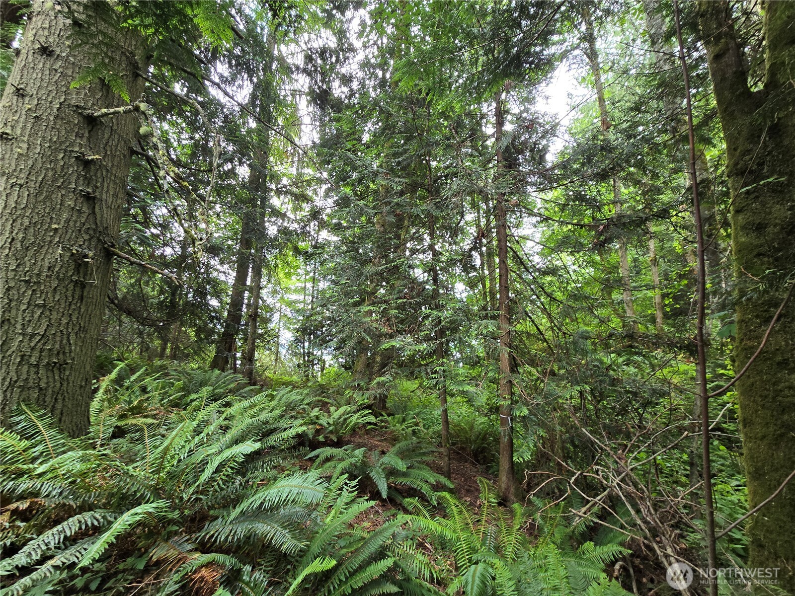 10307 NE Paradise Cove Lane (5 Lots) , Kingston, WA 98346