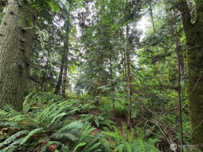 10307 NE Paradise Cove Lane (5 Lots) , Kingston, WA 98346 - Photo 19