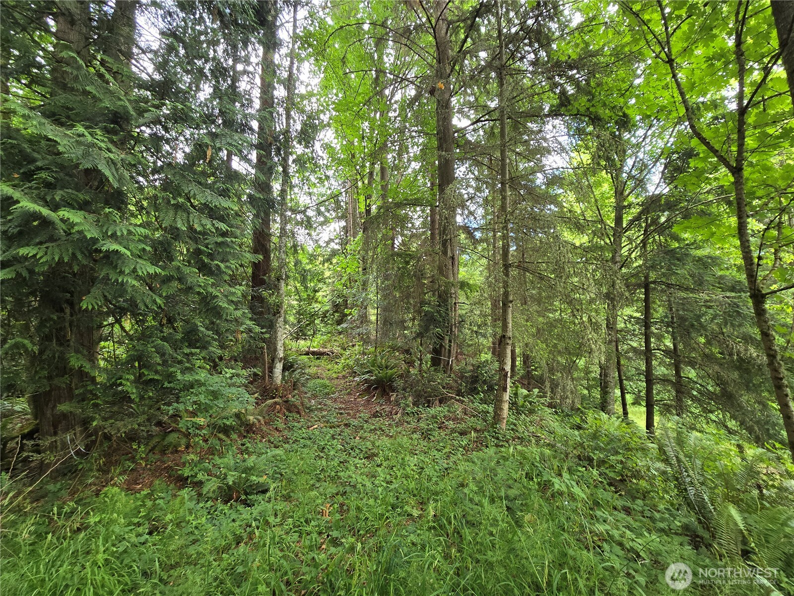 10307 NE Paradise Cove Lane (5 Lots) , Kingston, WA 98346