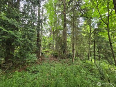10307 NE Paradise Cove Lane (5 Lots) , Kingston, WA 98346 - Photo 20