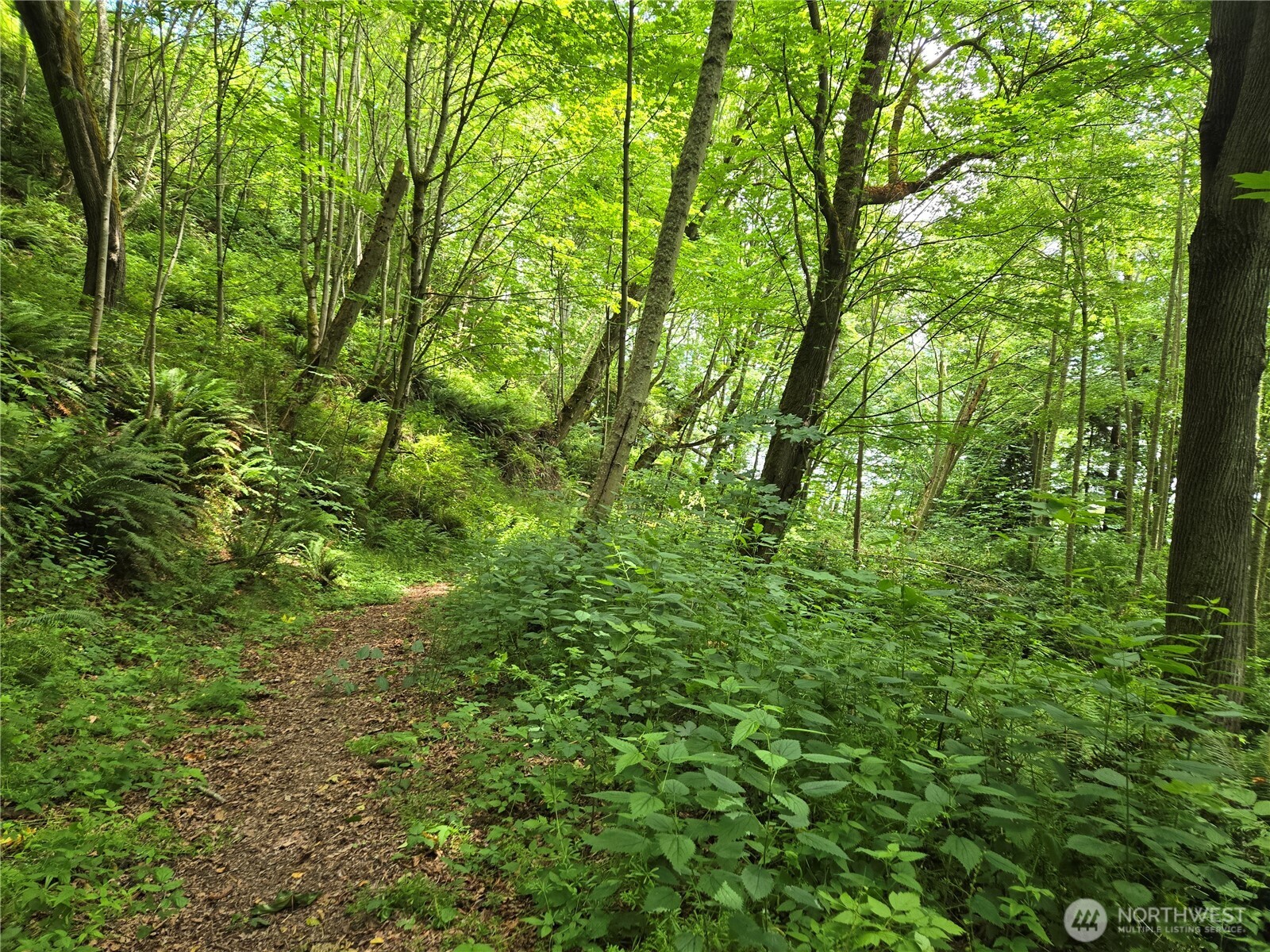 10307 NE Paradise Cove Lane (5 Lots) , Kingston, WA 98346