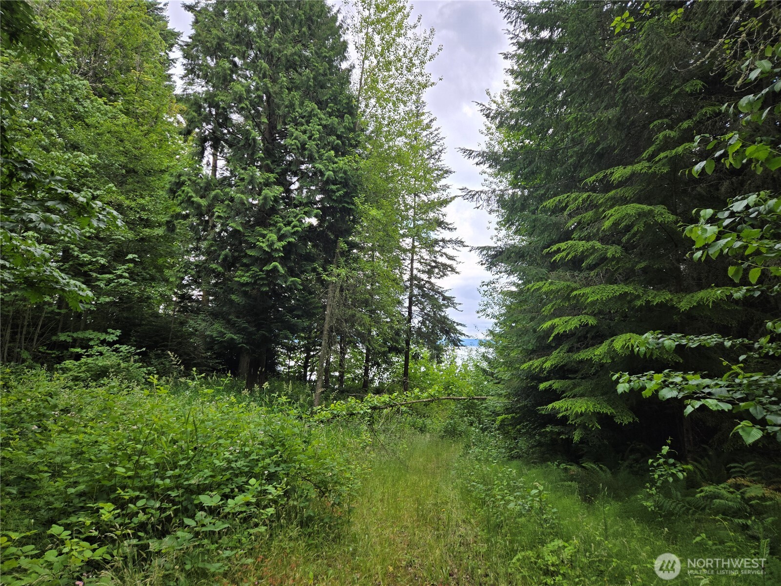 10307 NE Paradise Cove Lane (5 Lots) , Kingston, WA 98346