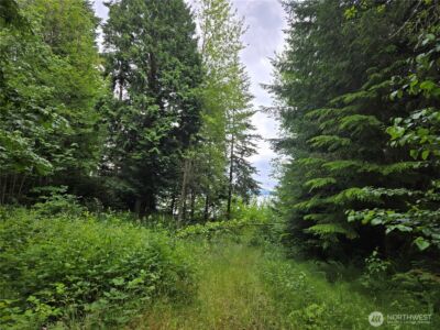 10307 NE Paradise Cove Lane (5 Lots) , Kingston, WA 98346 - Photo 6