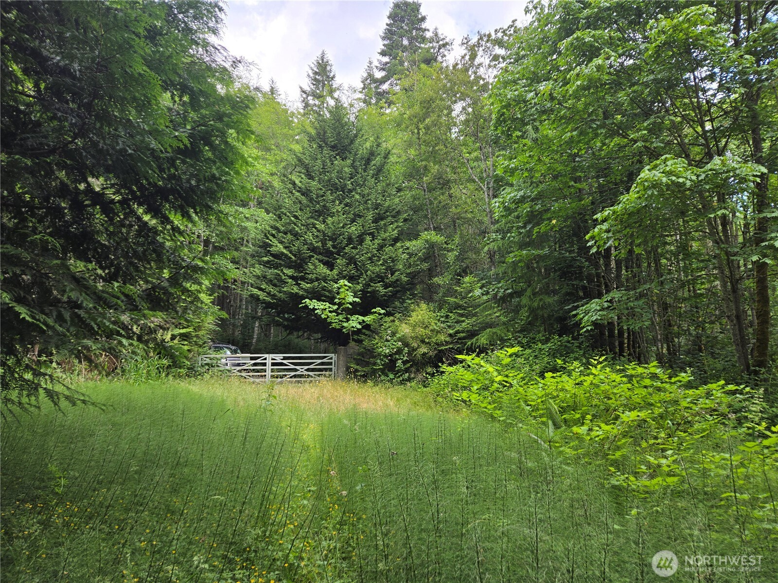 10307 NE Paradise Cove Lane (5 Lots) , Kingston, WA 98346