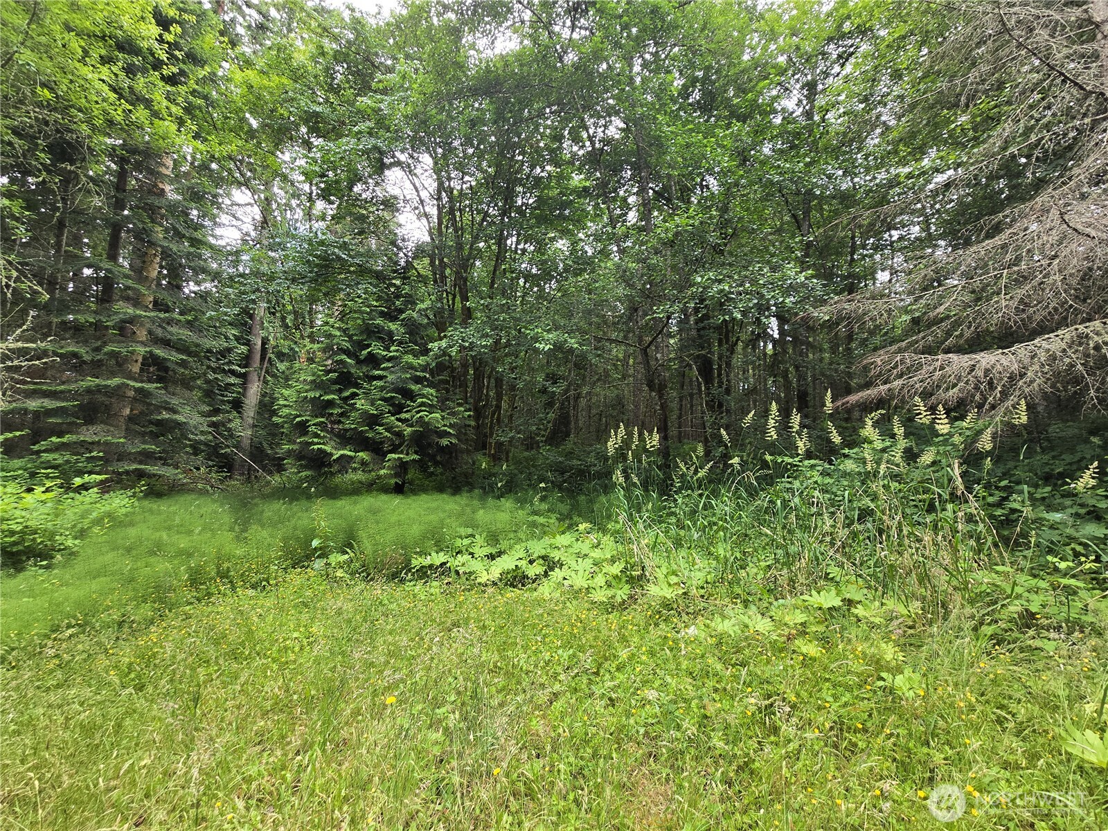 10307 NE Paradise Cove Lane (5 Lots) , Kingston, WA 98346