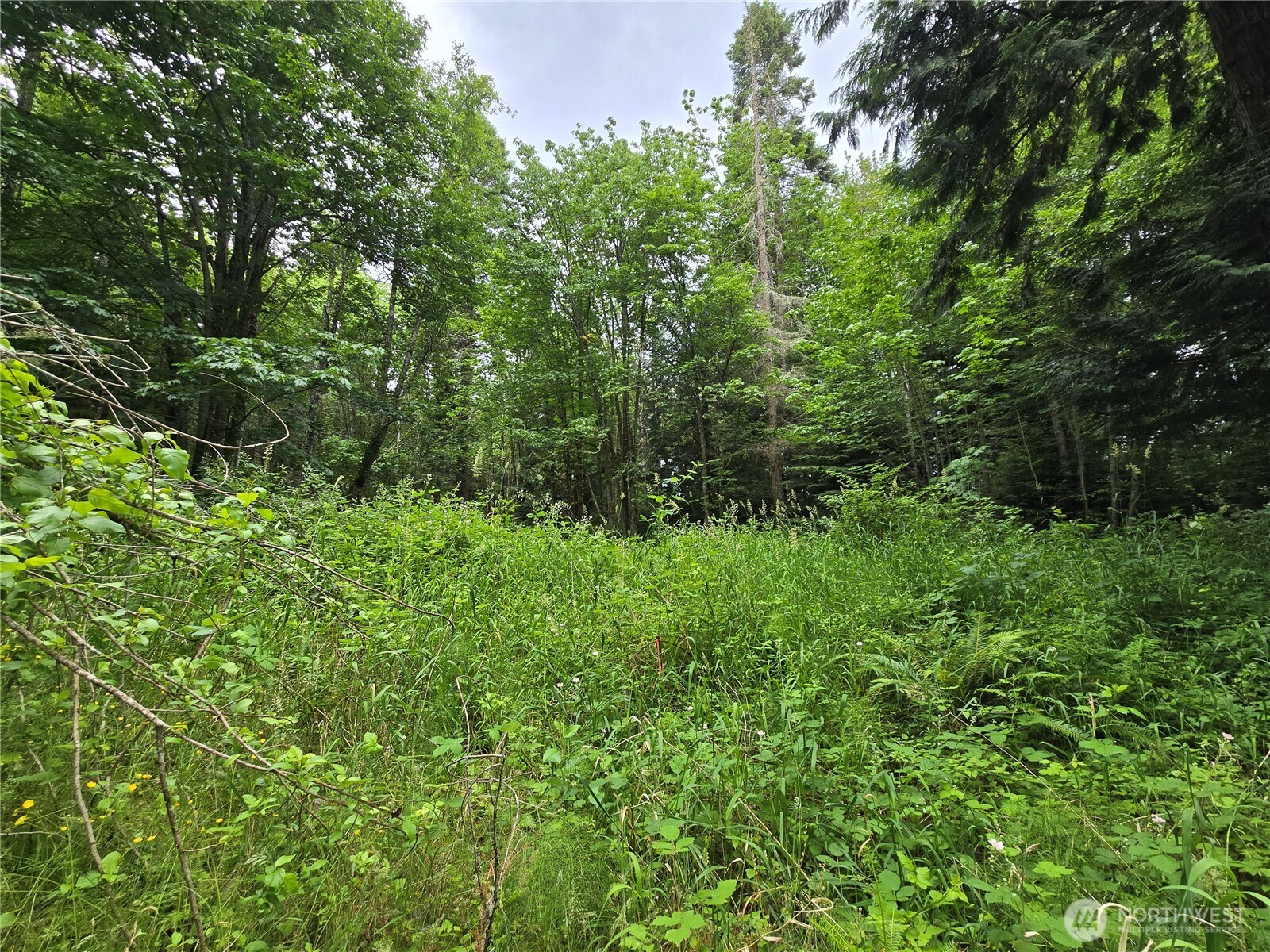 10307 NE Paradise Cove Lane (5 Lots) , Kingston, WA 98346