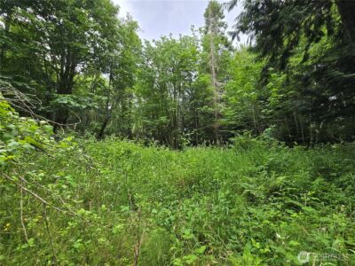 10307 NE Paradise Cove Lane (5 Lots) , Kingston, WA 98346 - Photo 9